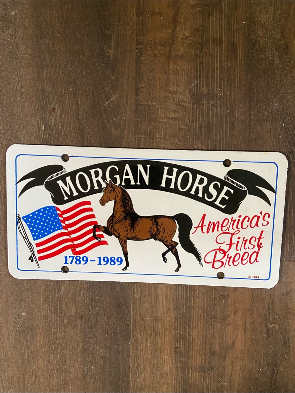 Vintage Bay Horse license plate or wall art horses Equestrian red American flag